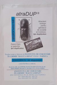 Gândacul de scoarță – Ips duplicatus